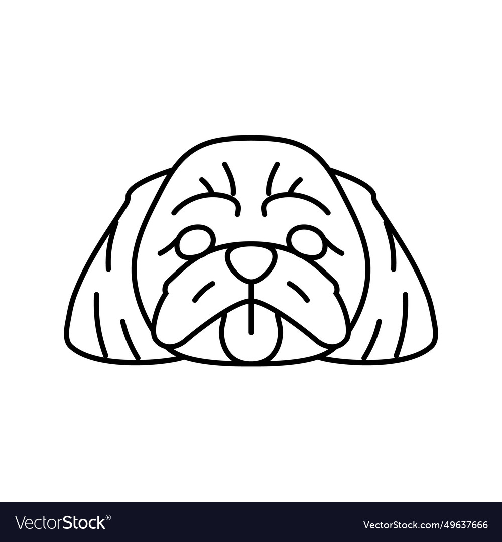 Shih tzu dog puppy pet line icon