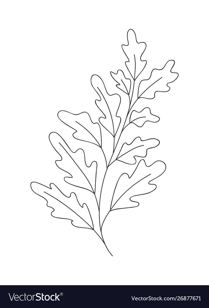 Branch with leaves isolated icon Royalty Free Vector Image