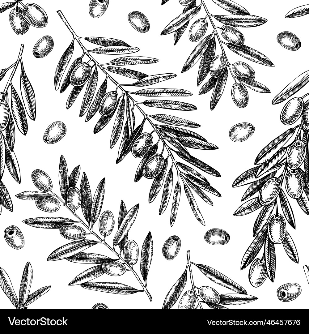 Olive branch seamless pattern background with Vector Image