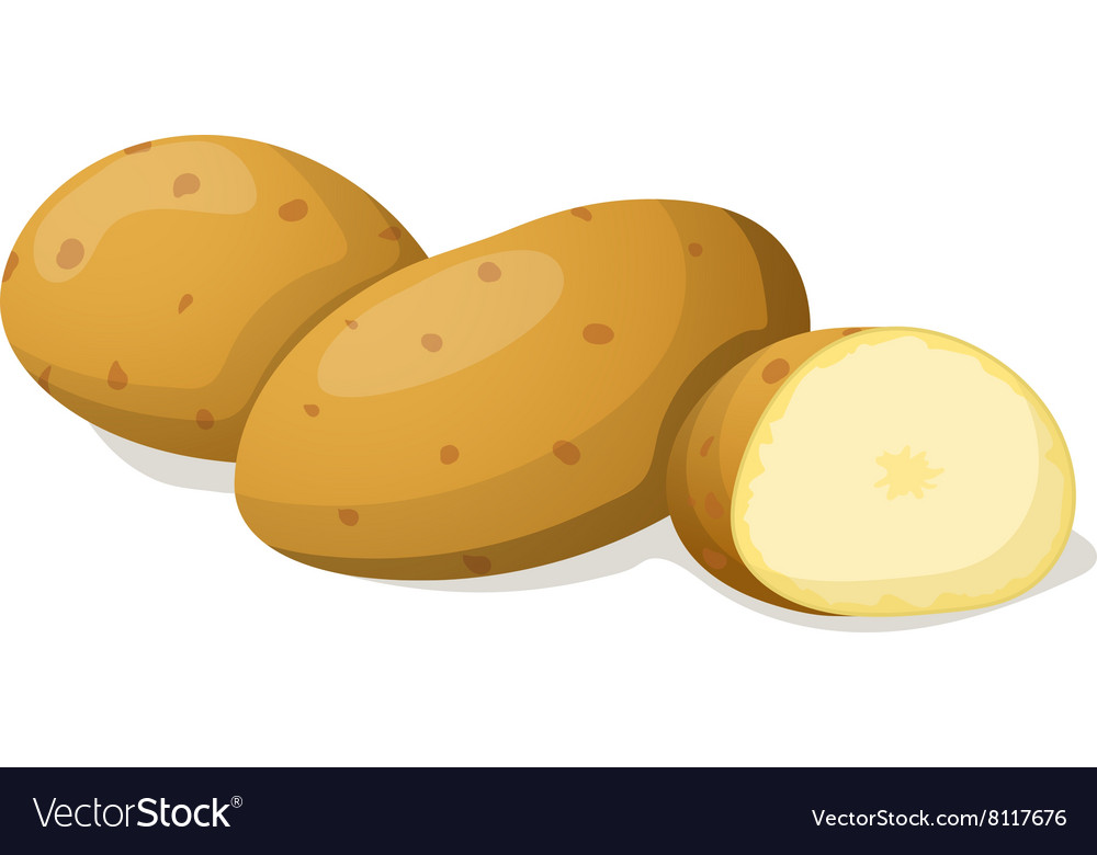 Картофель картинки вектор
