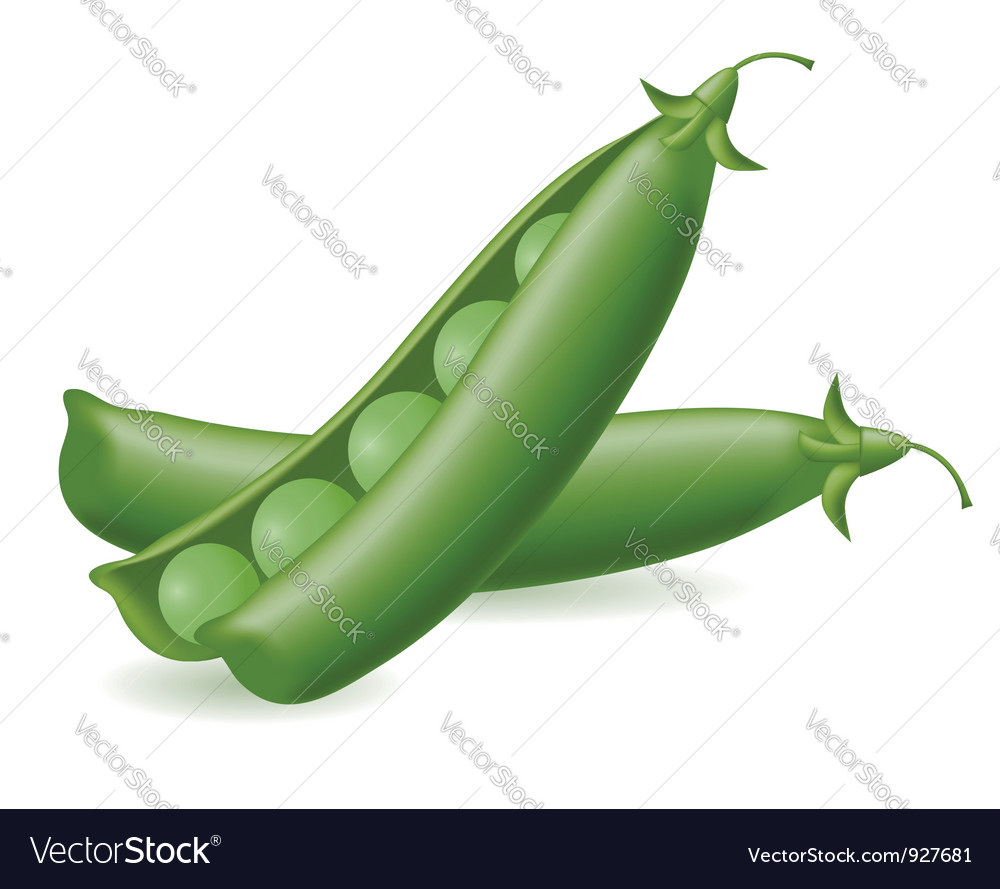Isolated Green Peas Pods