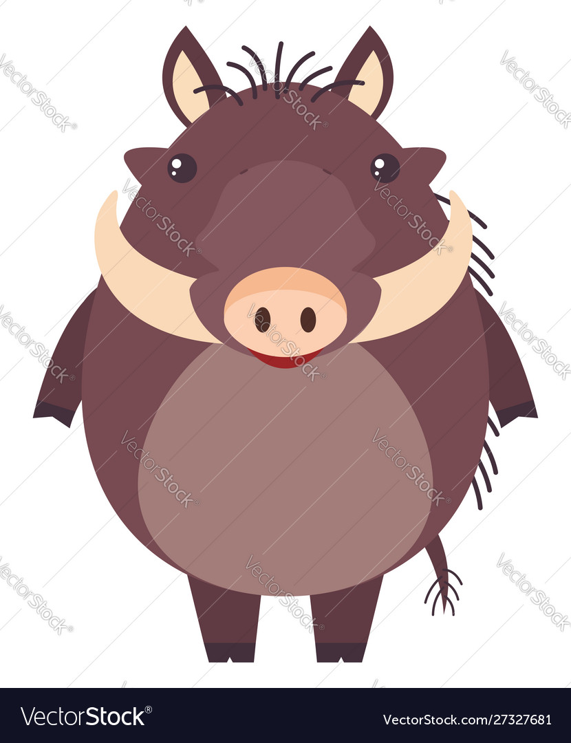 Pumba on white background