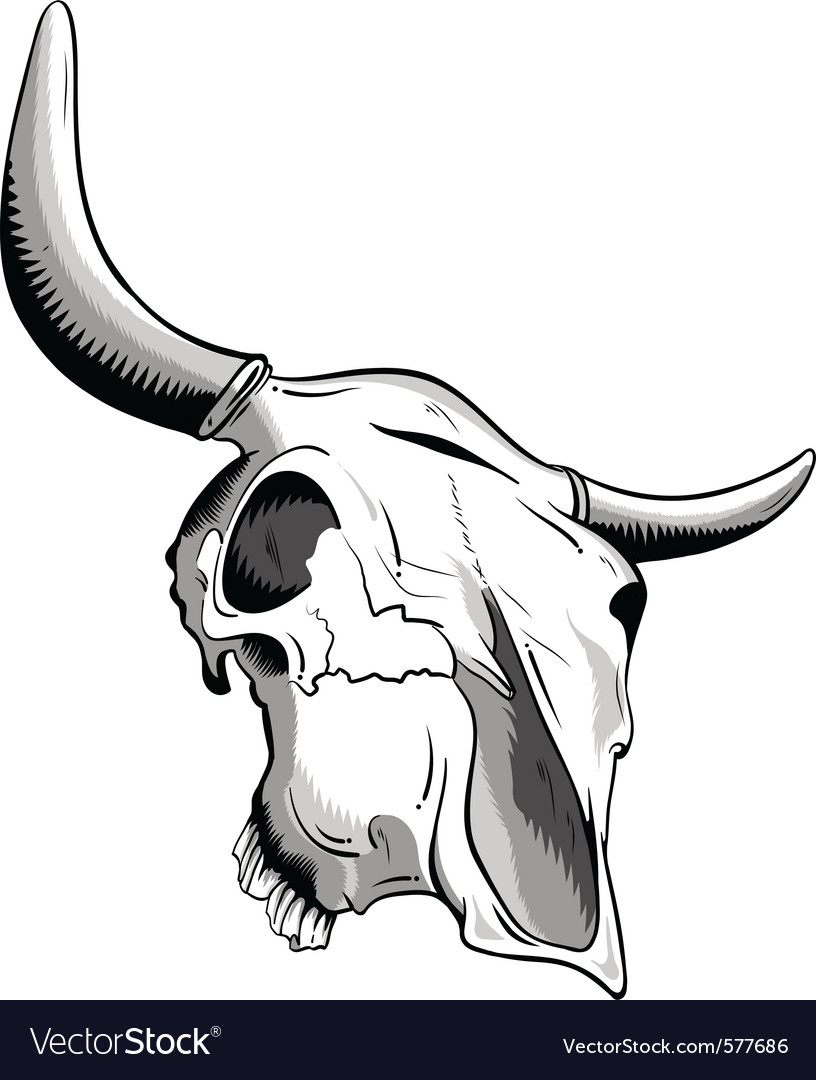 Animal skull Royalty Free Vector Image - VectorStock