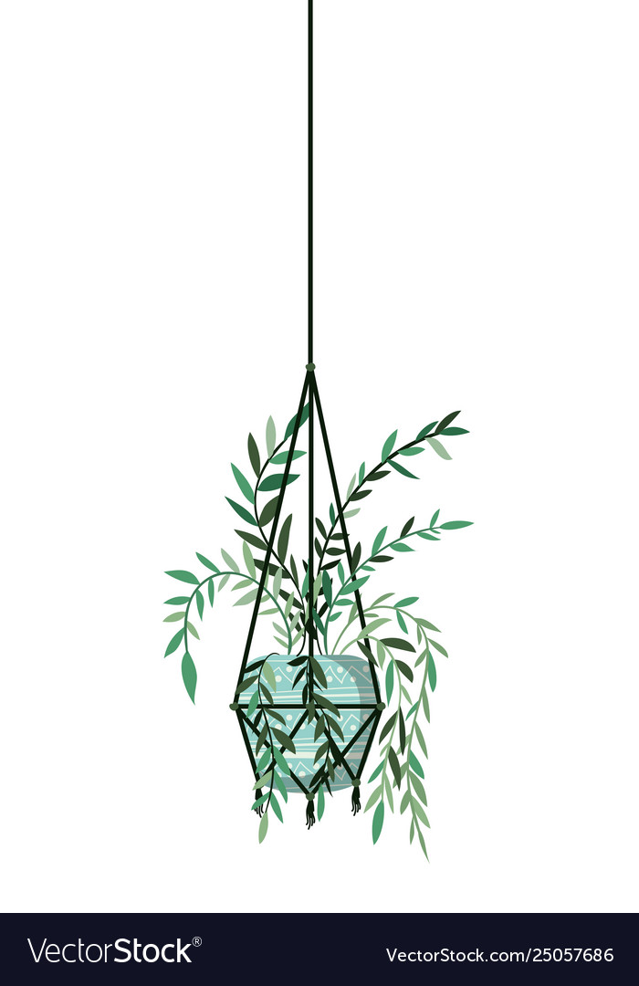 Houseplant on macrame hangers icon