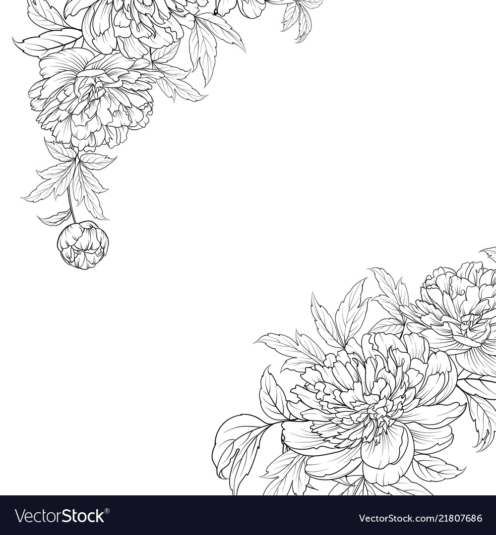 Spring flowers bouquet of contour style flower Vector Image