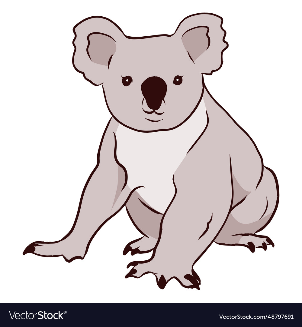 Ear koala leg nose Royalty Free Vector Image - VectorStock