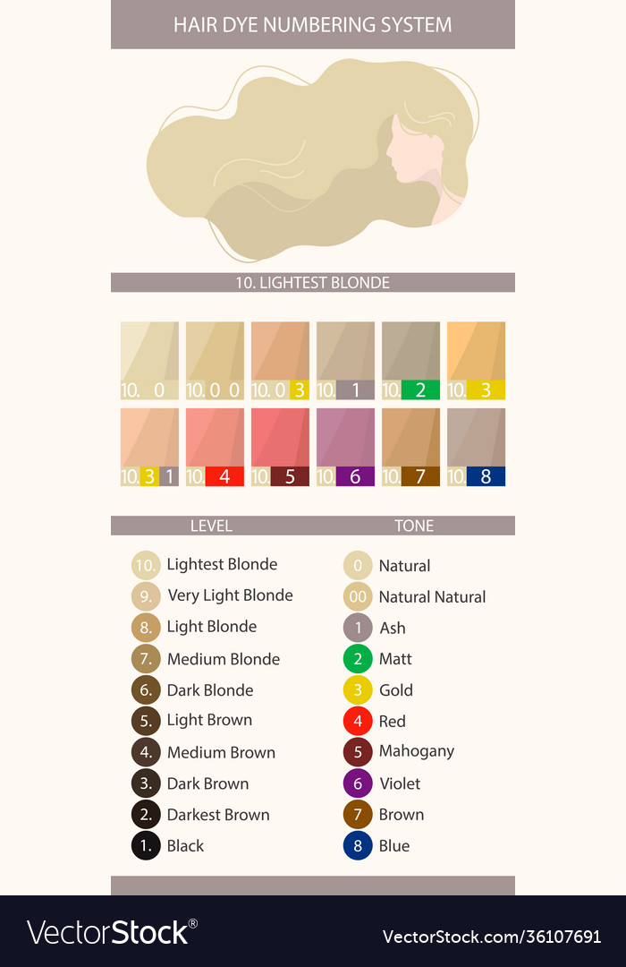 Palette with hair dye numbering system Royalty Free Vector