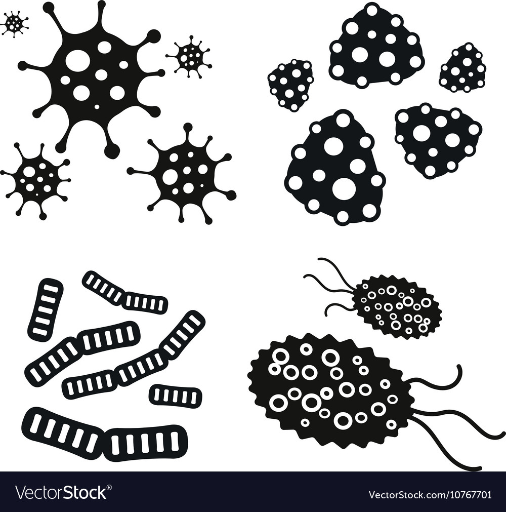 Bacteria virus icon