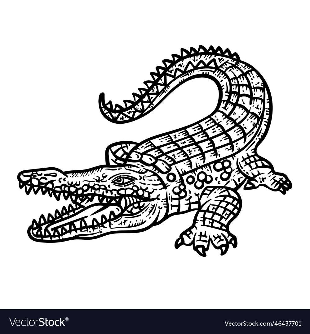 Crocodile animal coloring page for adult Vector Image