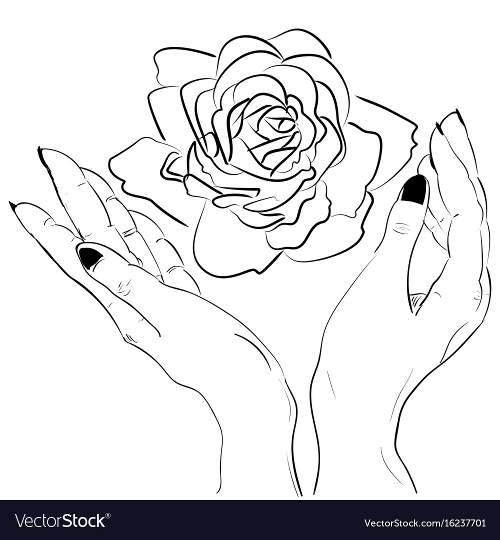 Hand Holding Flower Drawing | Best Flower Site