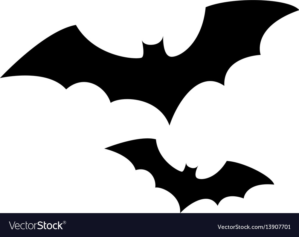 Monochrome background halloween with bat Vector Image