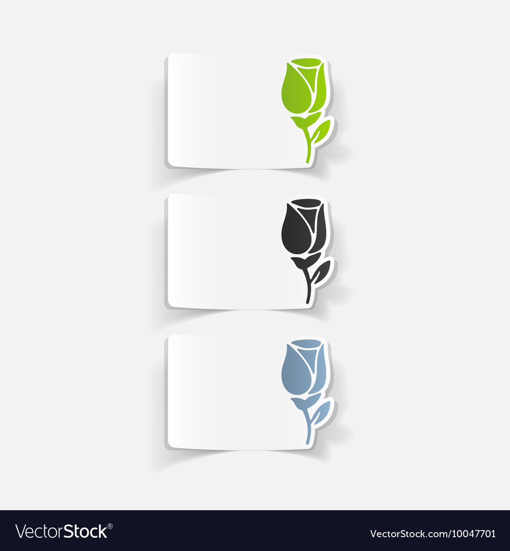 Realistic design element rose Royalty Free Vector Image