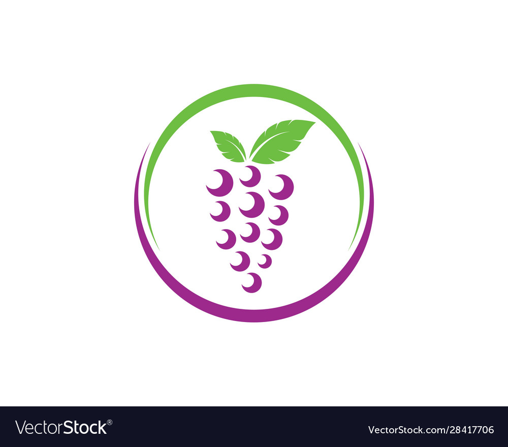 Grape fruits with leaf icon Royalty Free Vector Image