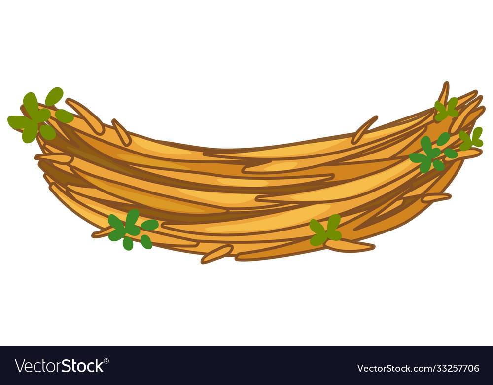 Isolated empty bird nest on white background