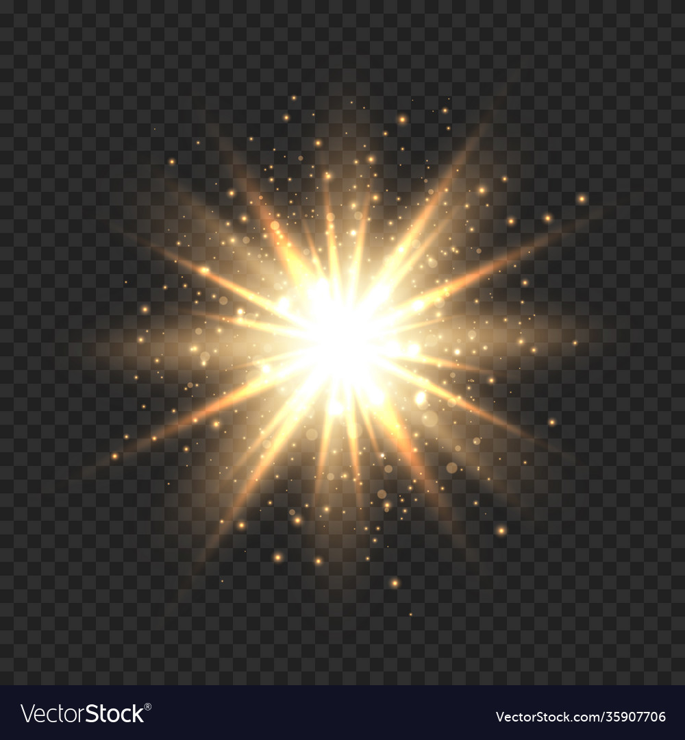 Star burst with sparkles golden light flare vector image Star burst with sparkles golden light flare