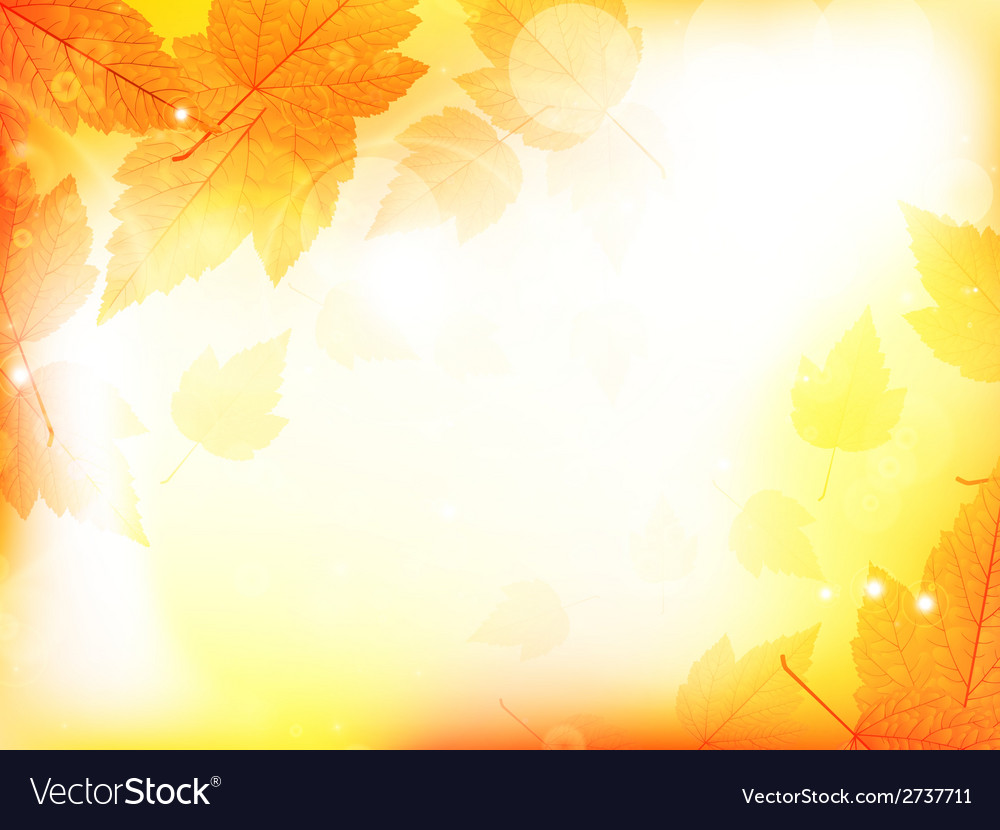 Autumn design background with leaves