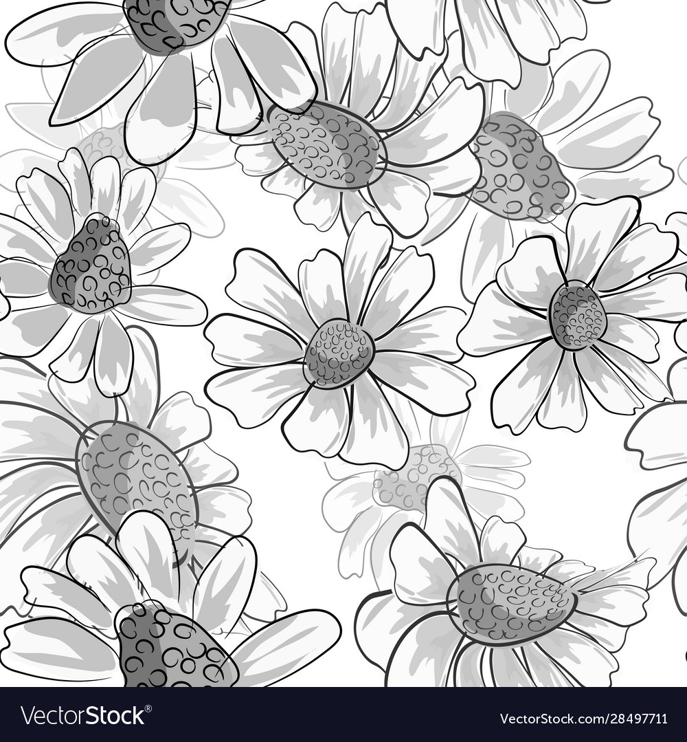 Chamomile seamless for decoration design floral vector image Chamomile seamless for decoration design floral