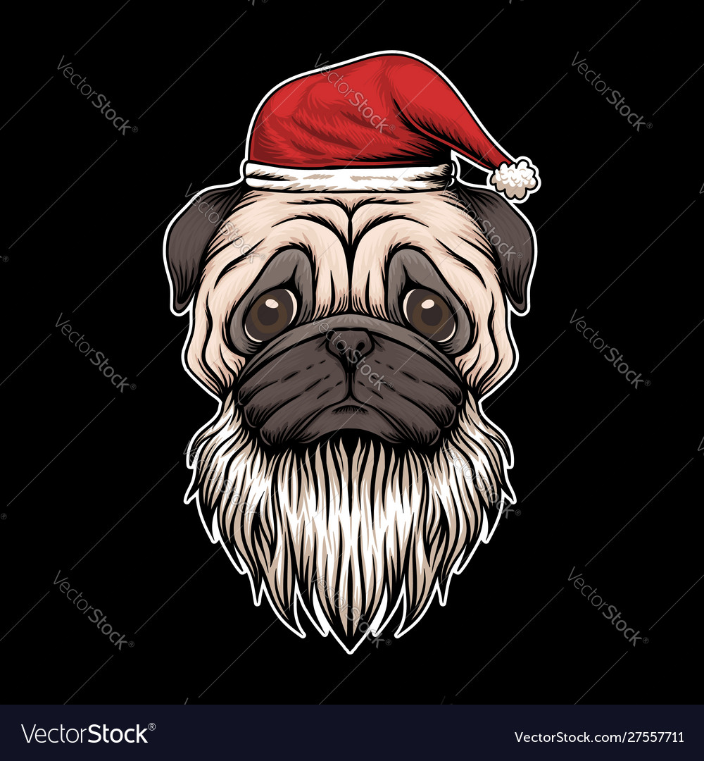 Dog santa hat outlet and beard