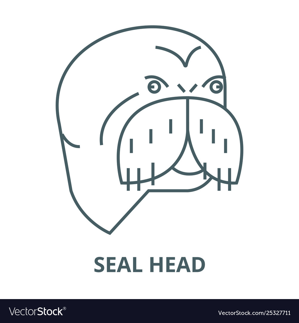 Seal head line icon linear concept vector image Seal head line icon linear concept