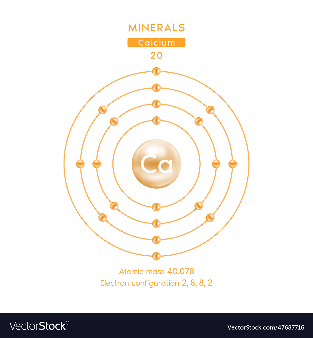 Calcium chemical element and atomic number Vector Image