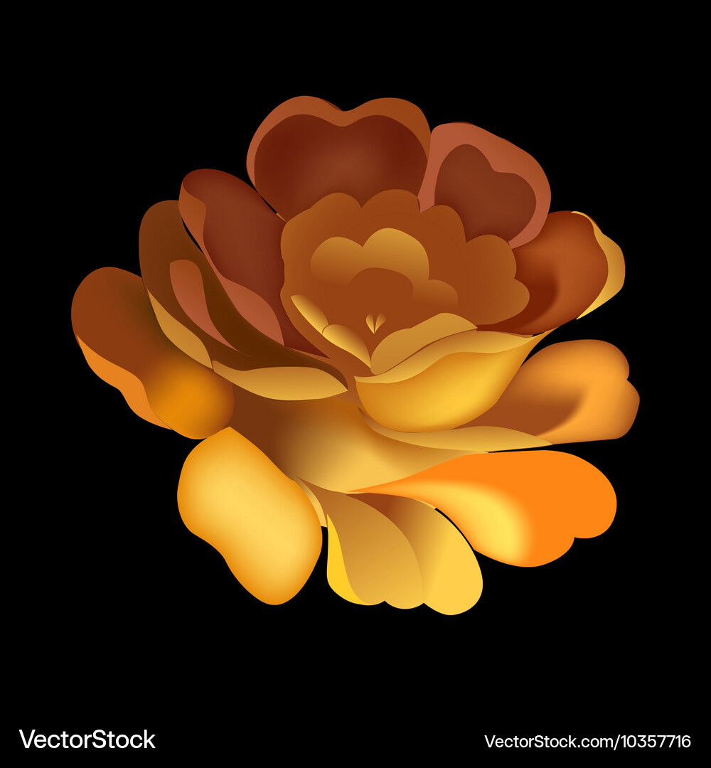 Flower element on black background Royalty Free Vector Image