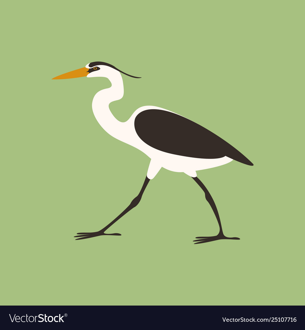 Heron walking flat style vector image Heron walking flat style