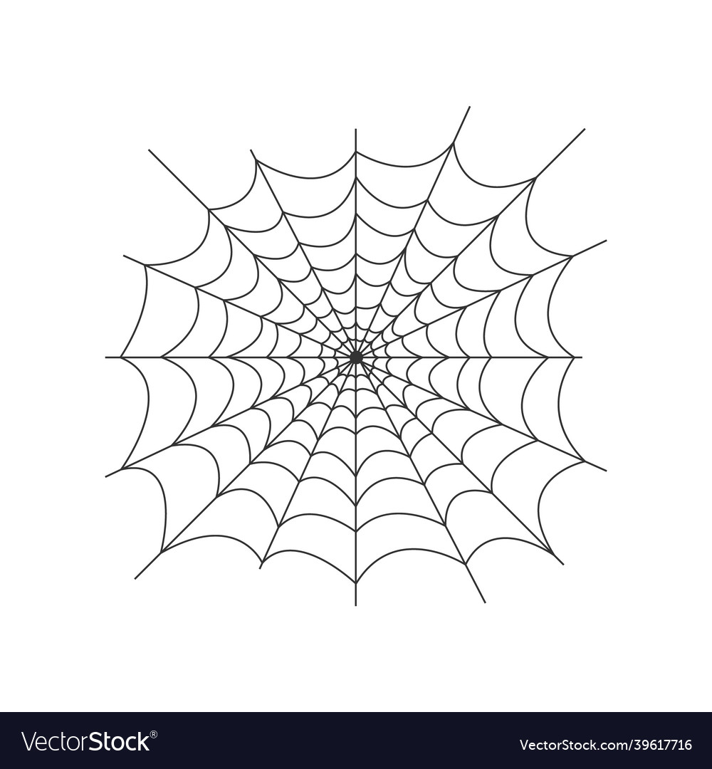 Image of the spider web net is a trap vector image Image of the spider web net is a trap