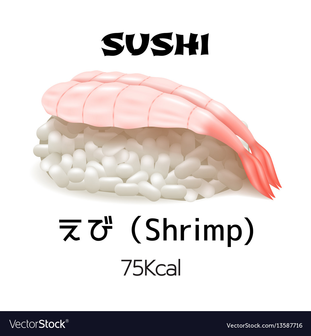 Nigiri sushi isolated