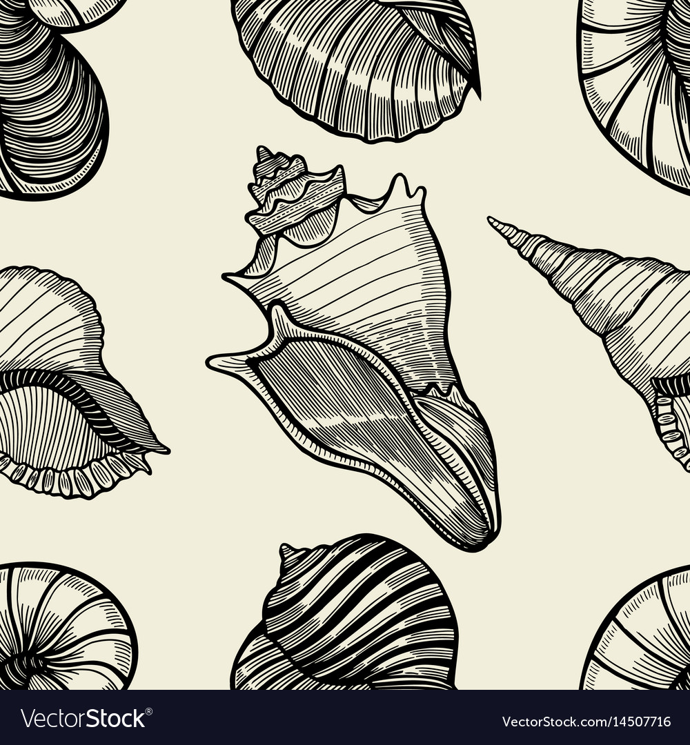 Seamless pattern of seashells