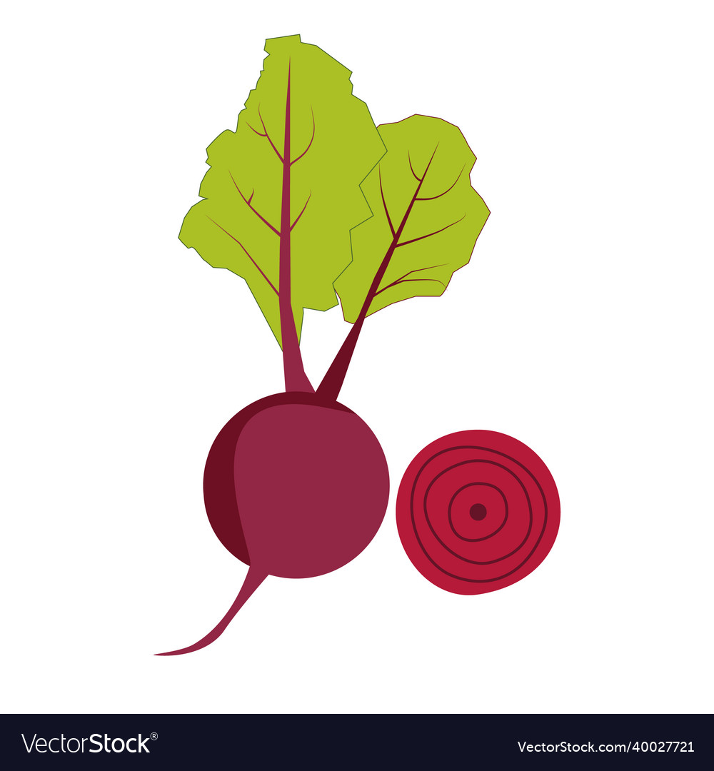 Beetroot with green leaves on white background