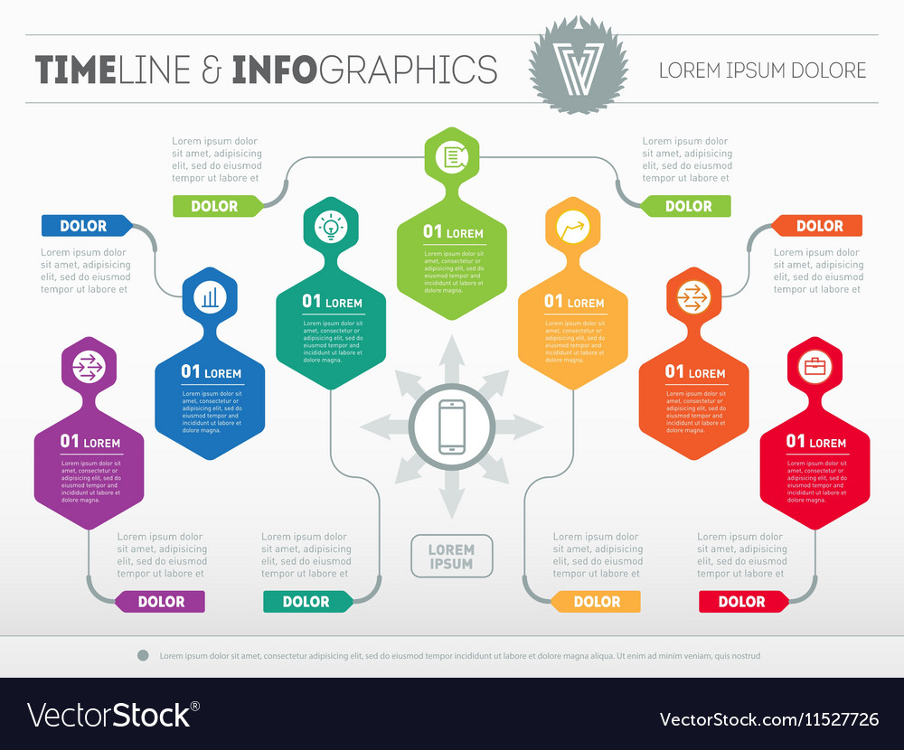 Infographic With Design Elements Presentation Vector Image