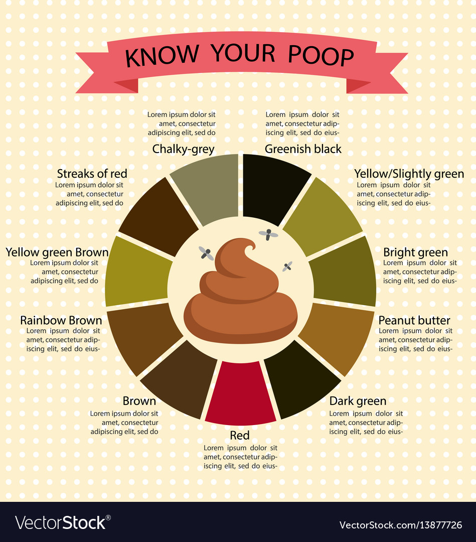 Stool Color Chart Meaning