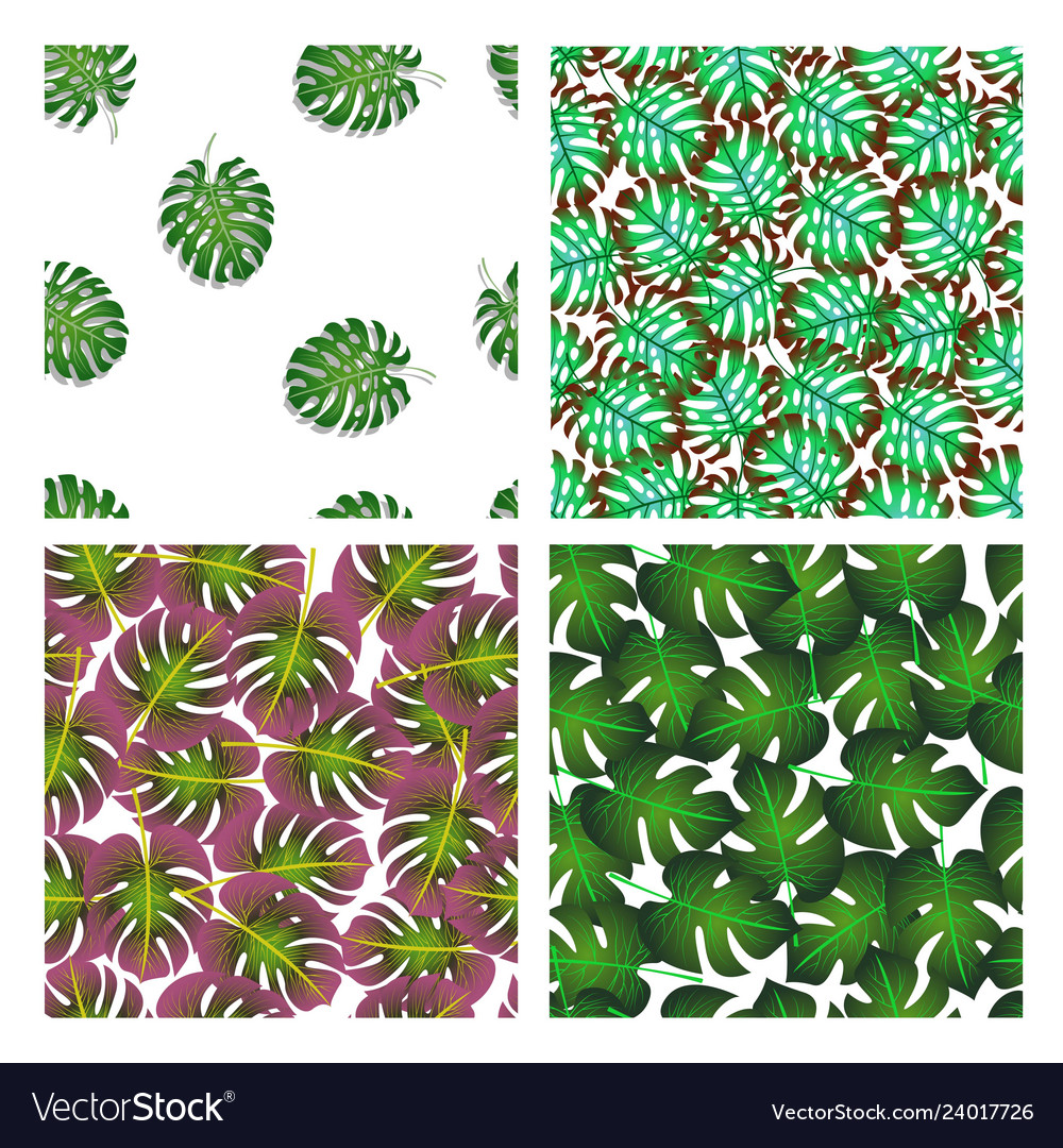 Set of four patterns with palm leaves vector image Set of four patterns with palm leaves