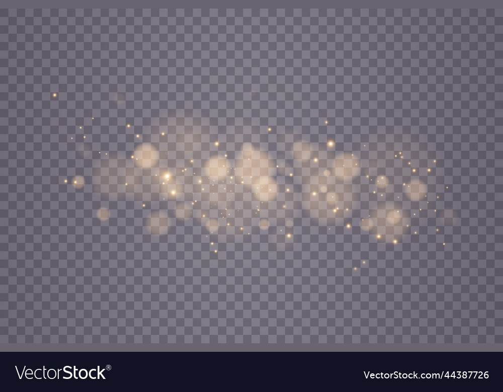 Shining bokeh isolated on transparent background vector image Shining bokeh isolated on transparent background
