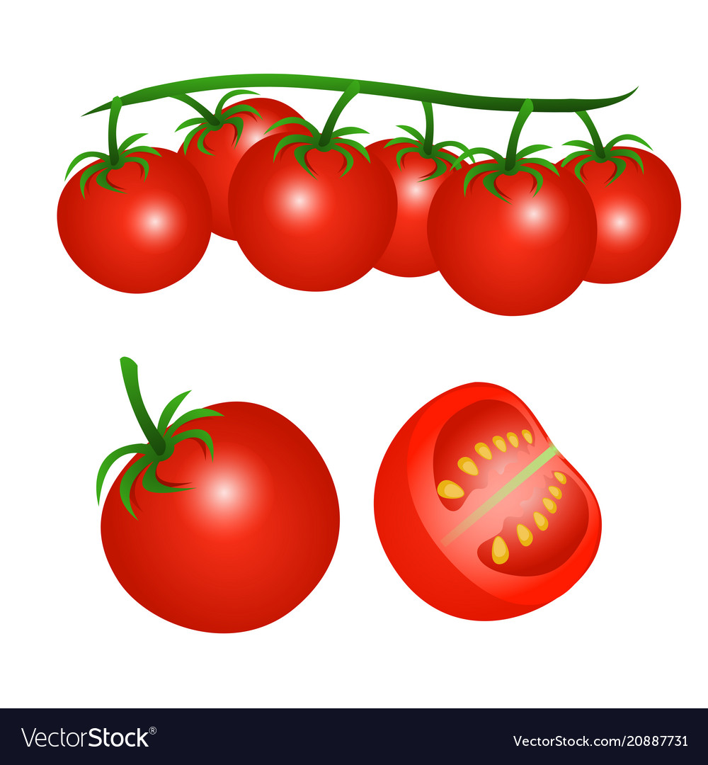 A cherry tomatoes on branch and half tomato