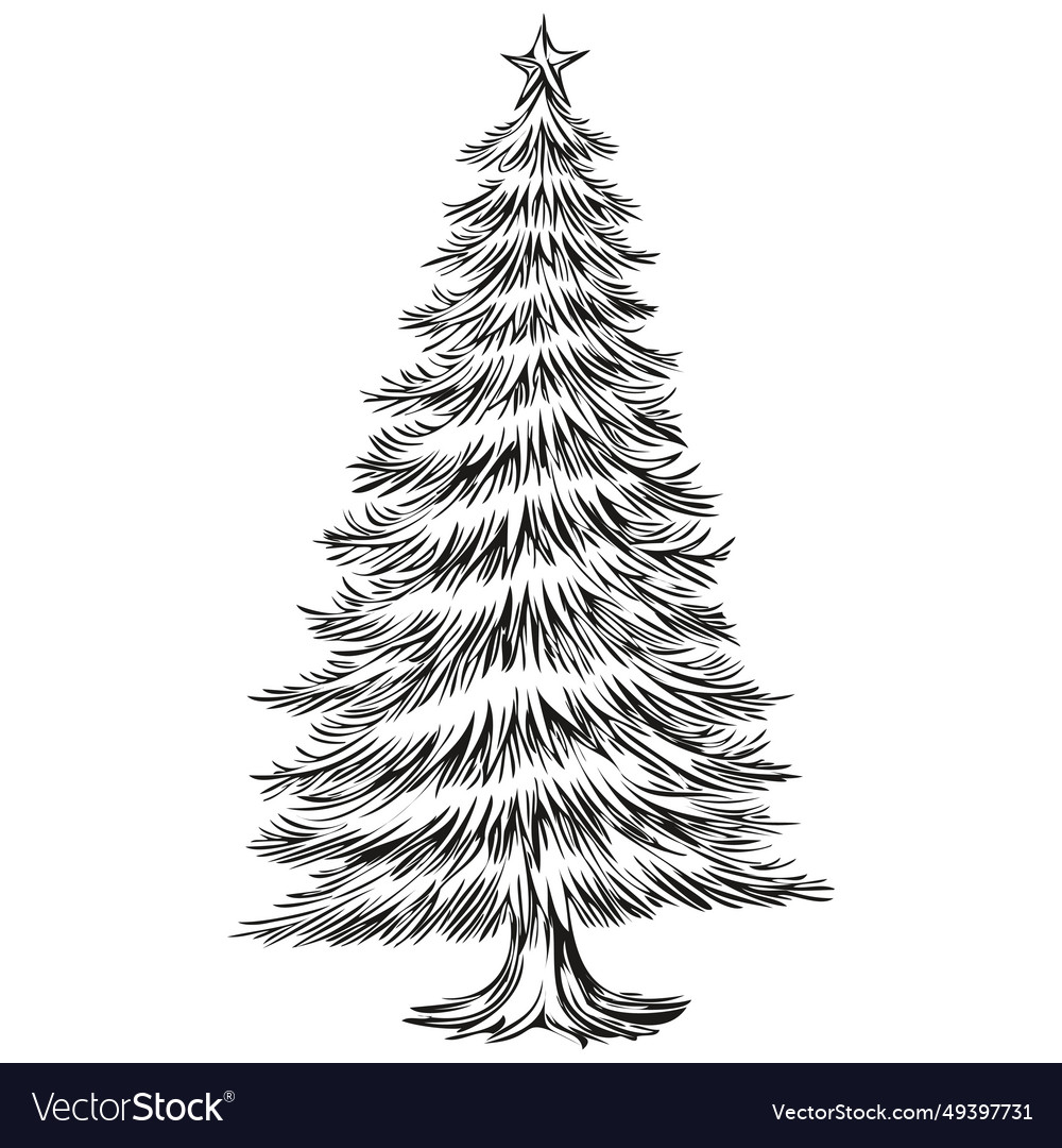 Christmas tree drawing in black and white hand Vector Image