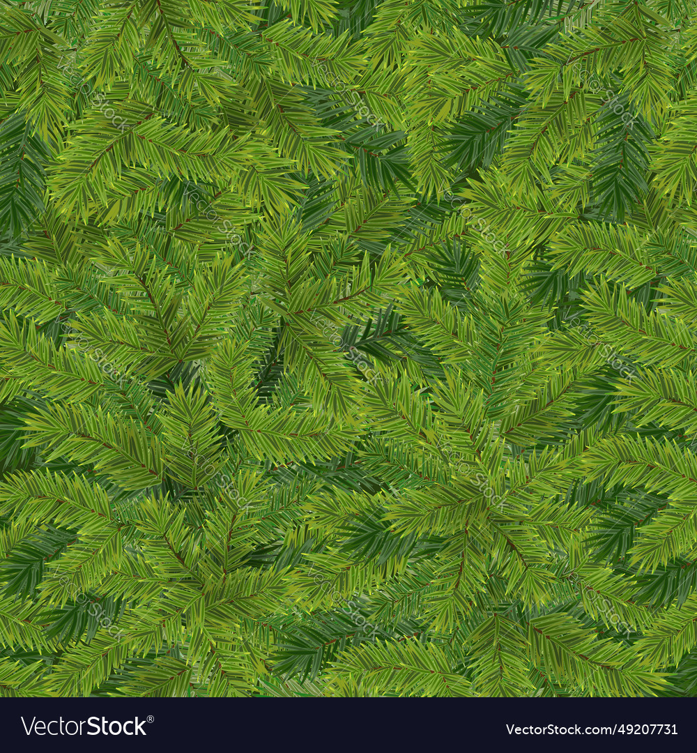 Realistic green background from pine tree Vector Image Realistic green background from pine tree