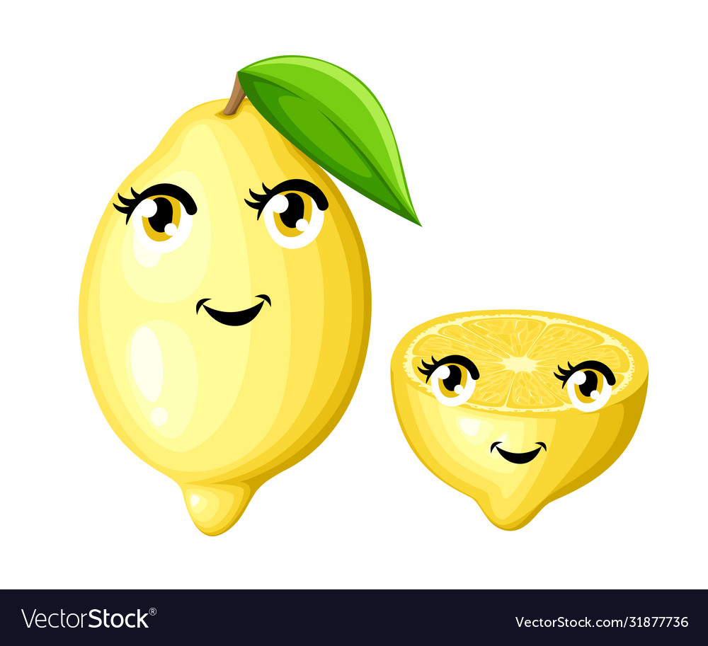 Fresh lemon with leaf and half a cartoon