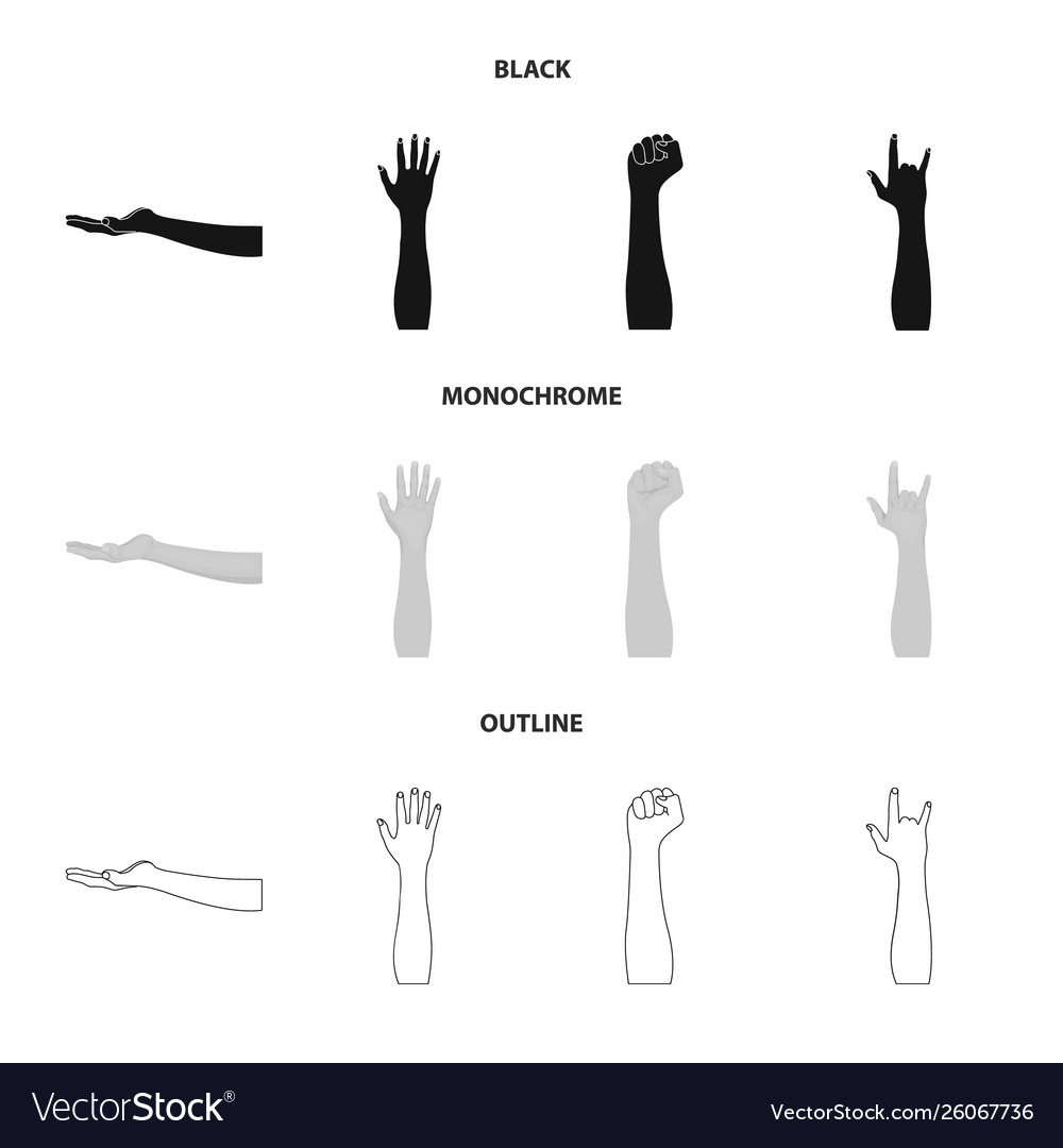 Isolated object and animated sign collection