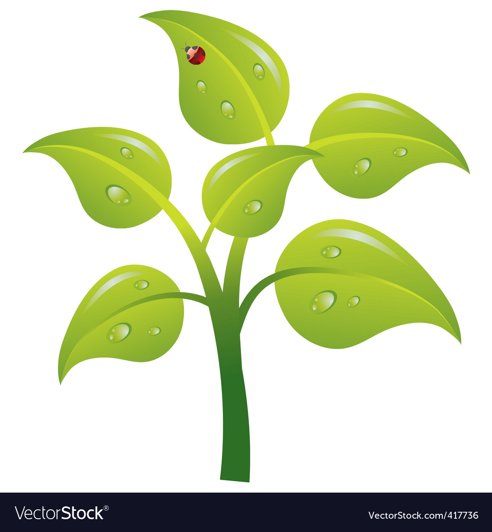 Tree image