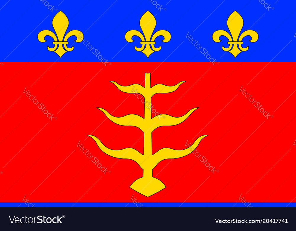 Flag of montauban in tarn-et-garonne occitanie