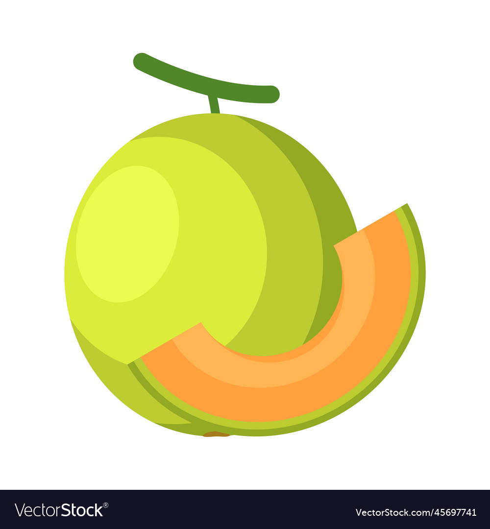 Melon flat design clip art Royalty Free Vector Image