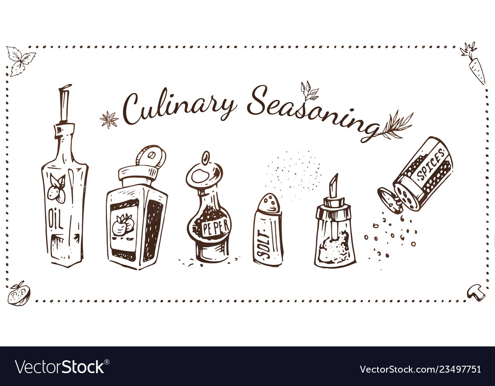 Culinary seasonings hand drawn set