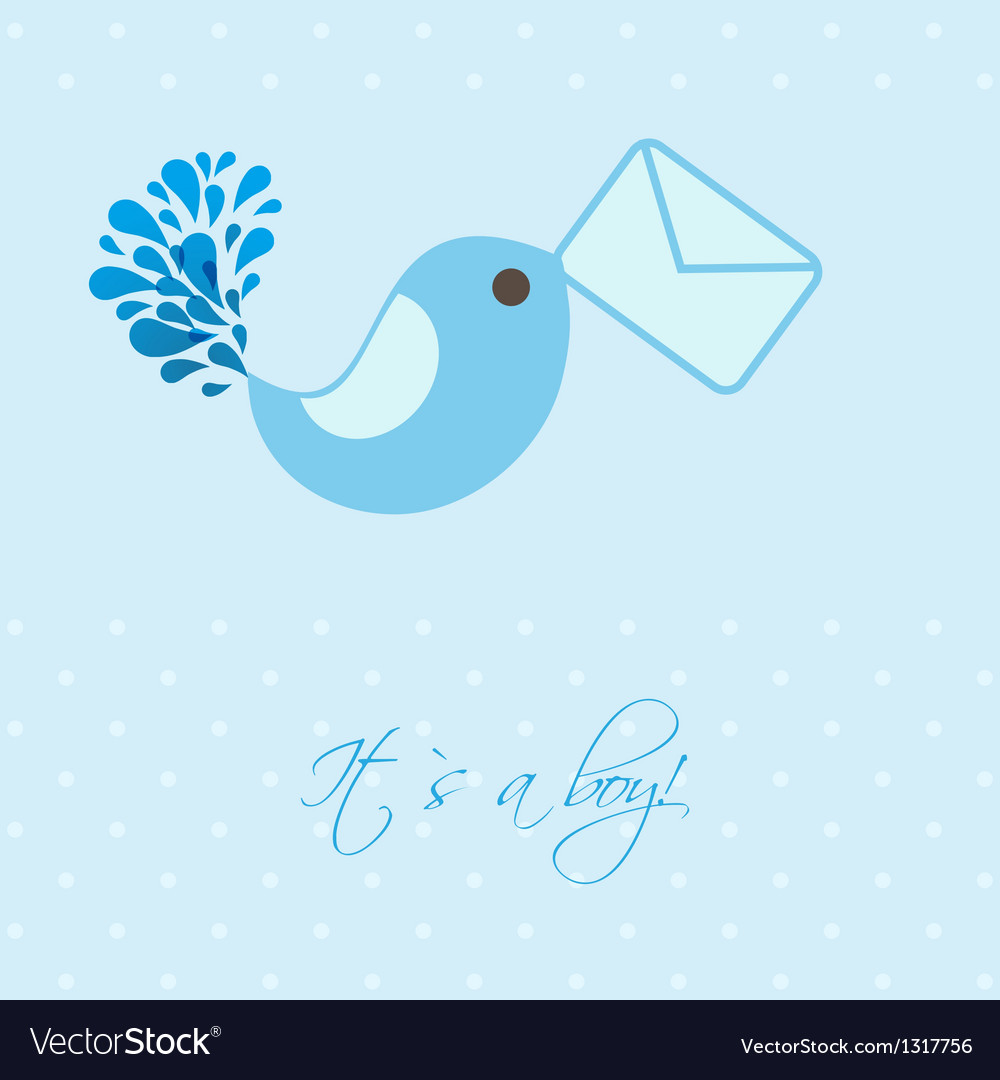 baby boy announcement card royalty free vector image