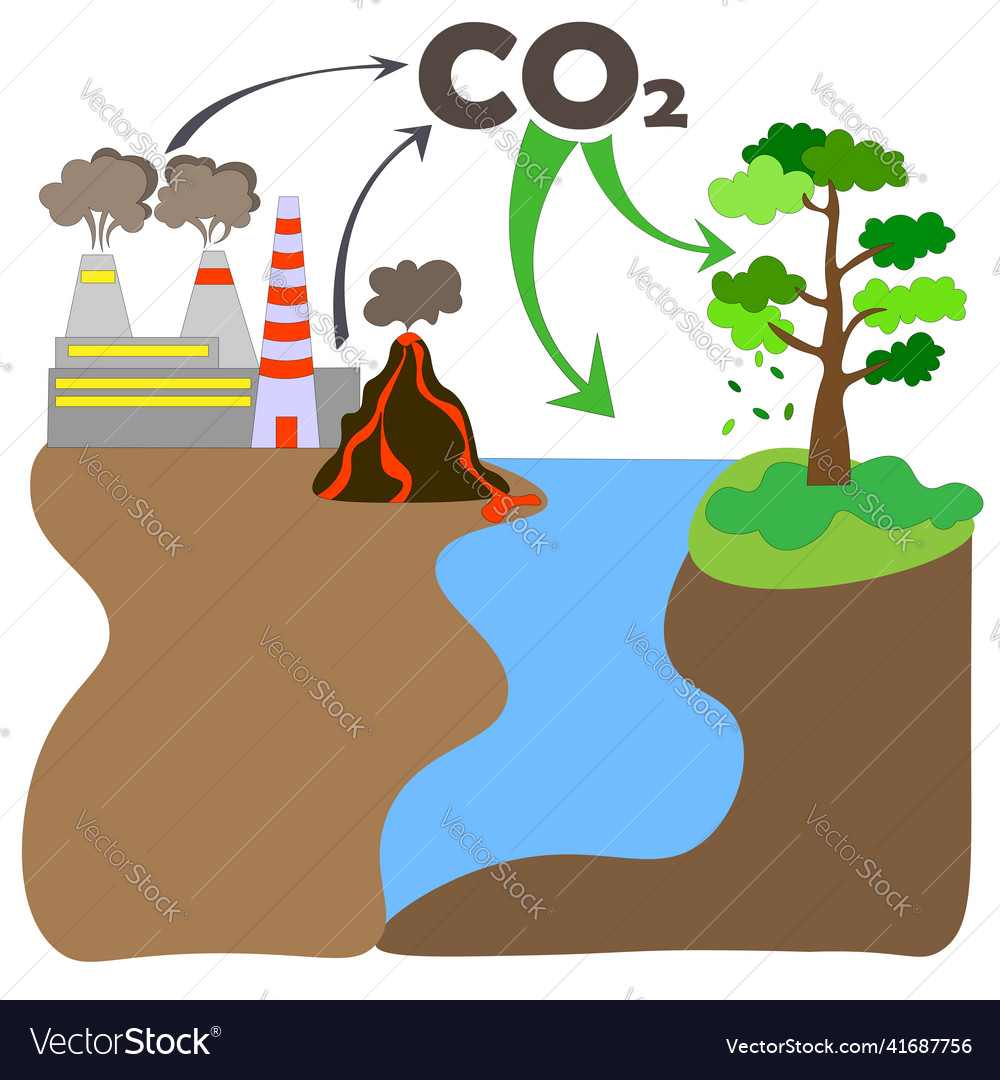 Carbon offset compensation scheme to reduce