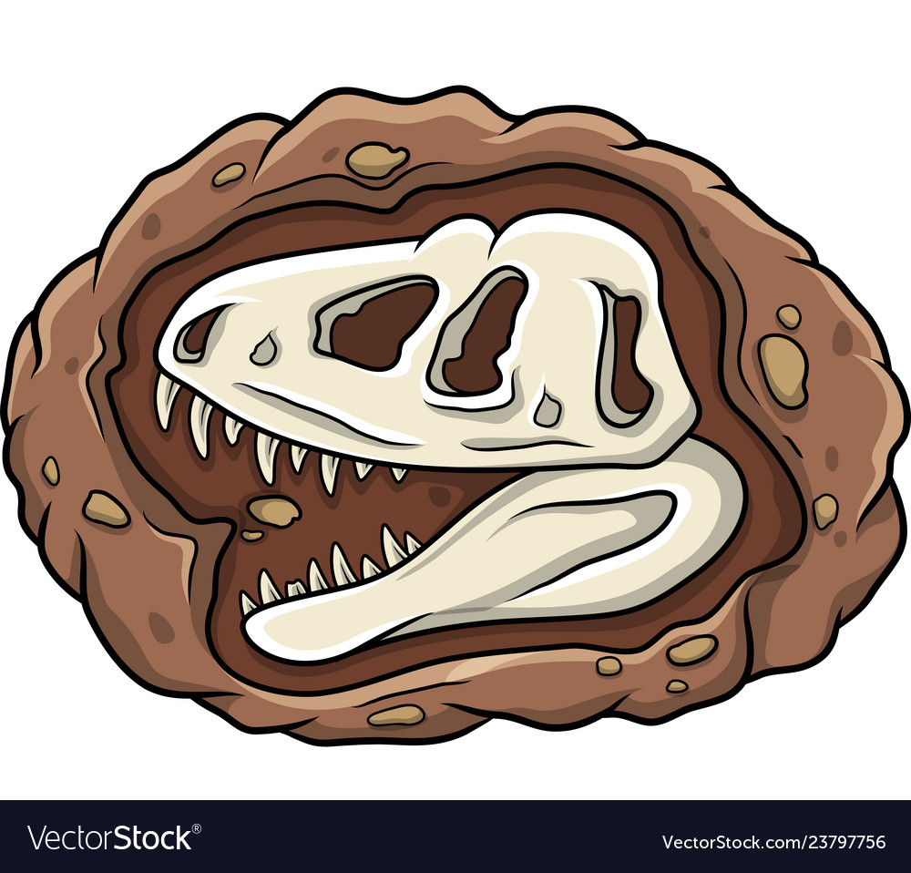 Cartoon head dinosaur fossil Royalty Free Vector Image