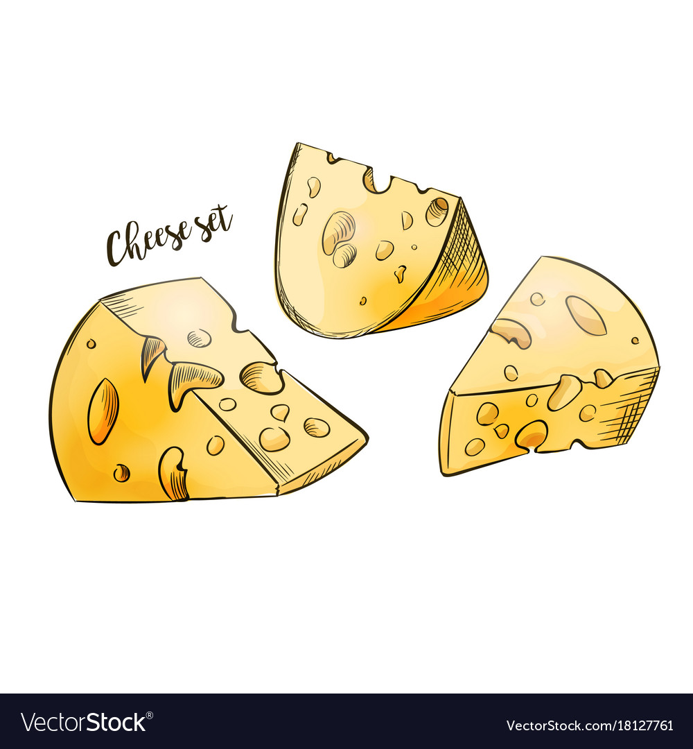 Cheese cartoon handdrawn set