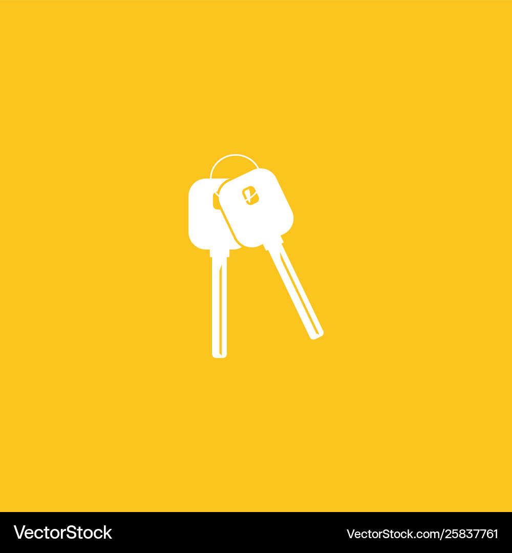Keys icon isolated Royalty Free Vector Image - VectorStock