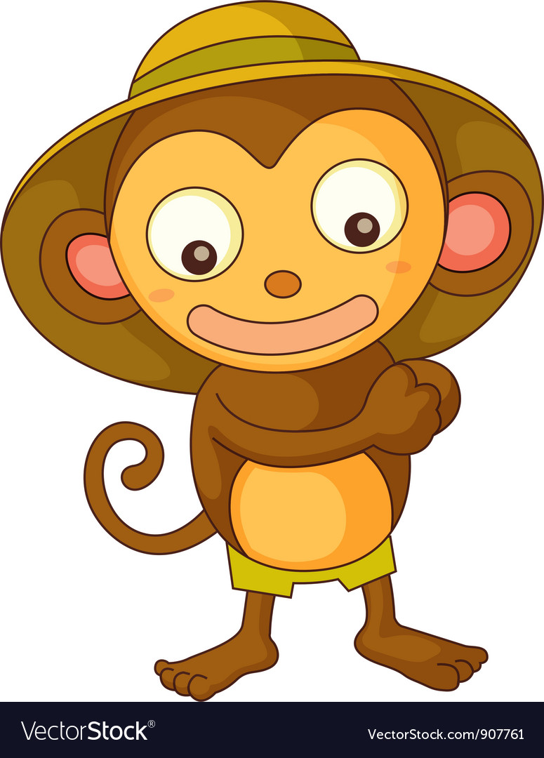 monkey with little hat