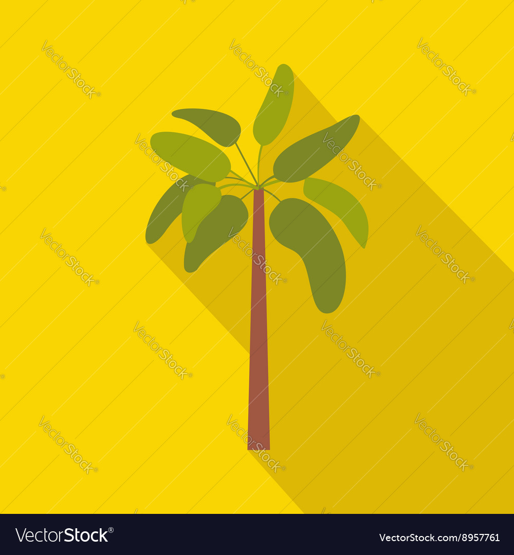 Palm plant tree icon flat style Royalty Free Vector Image